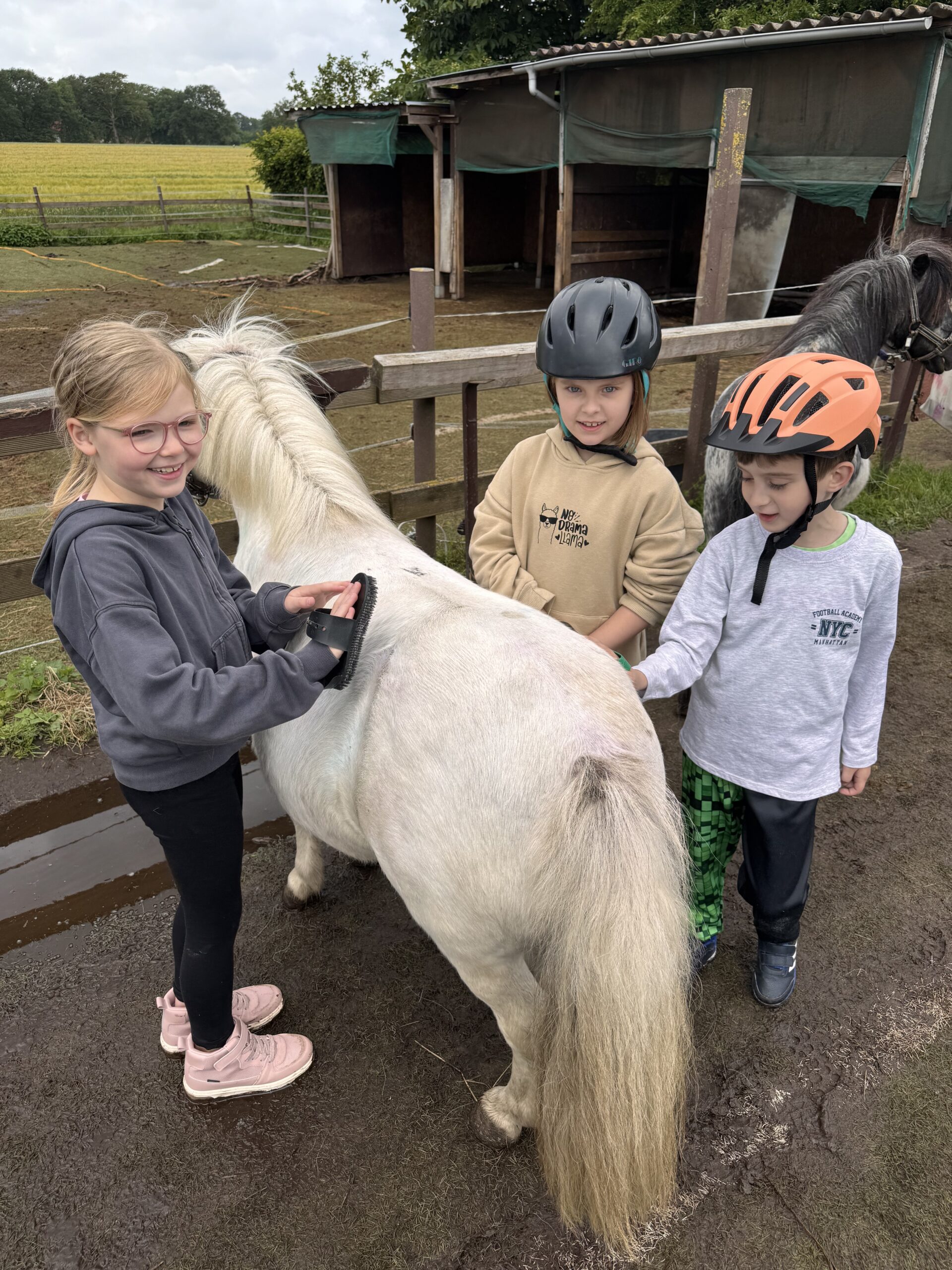 Reitprojekt der 2. Klassen – Lernen mit und über Pferde