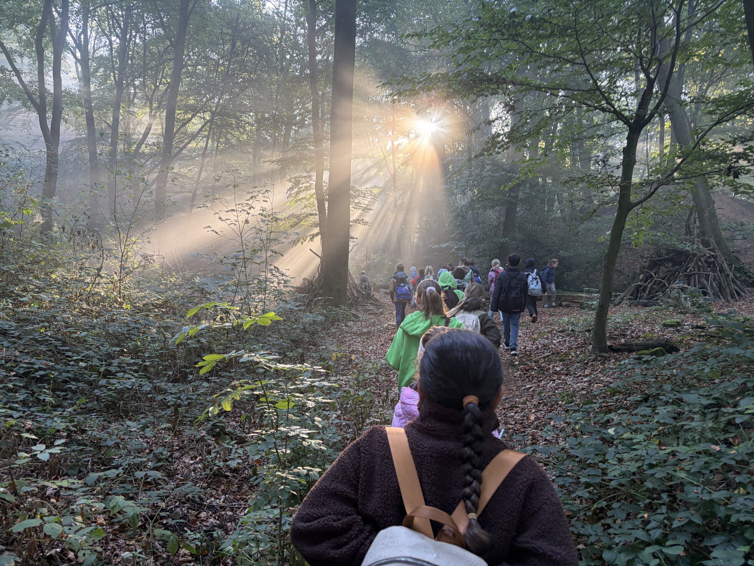 Waldjugendspiele – Ein sonniger Tag im Wald